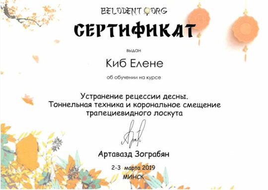 Сертификат Киб Елена Валентиновна.