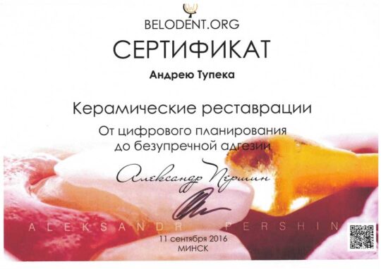 Сертификат Тупека Андрей Николаевич.
